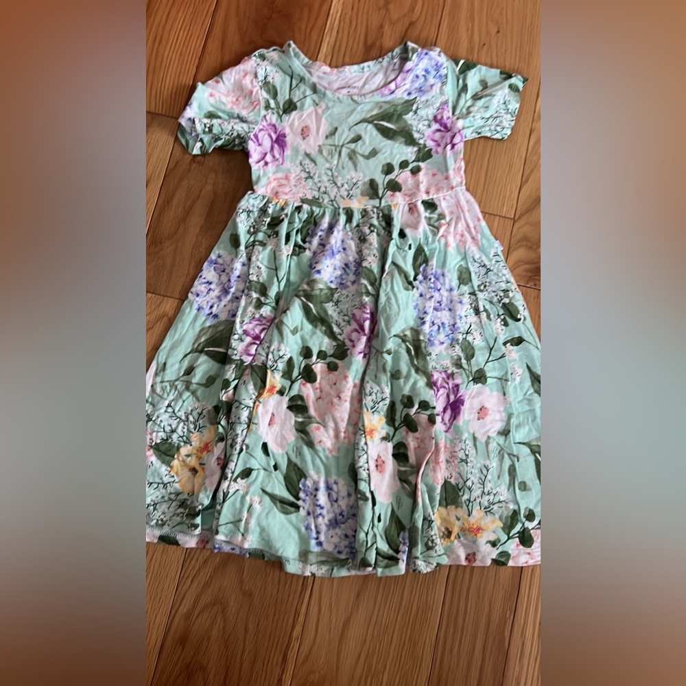 Posh peanut twirl bamboo dress // 4t